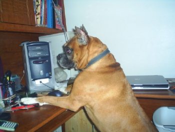 Maxx Checkin mail.jpg