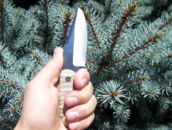 bills knife 013 (400 x 301).jpg