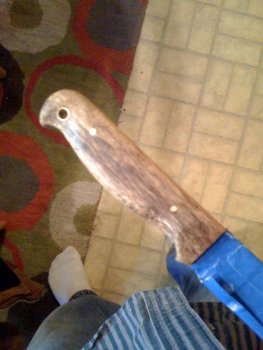 persimmon j.JPG