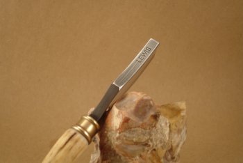 antler_4.jpg
