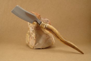 antler_2.jpg