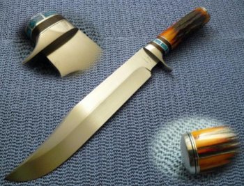 Amber Stag Bowie 2010 F (600 x 457).jpg