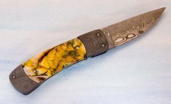tiger-eye-open.jpg