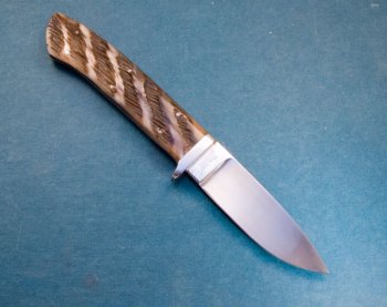 kudu-4.jpg