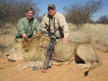 lion 007.jpg