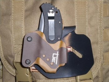 ZT 0350  Paddle.jpg