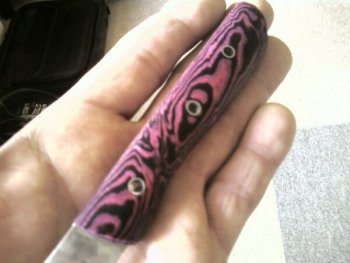honeybee's steak knife.jpg