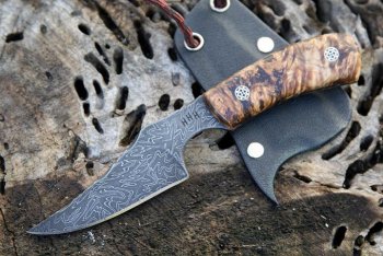 Damascus falcon II 029.jpg