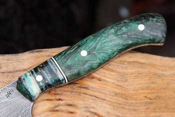 Feather damacus Petty 008.JPG