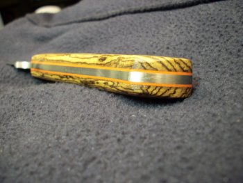100_3295.jpg