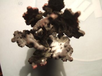 shibuichi menuki 004.jpg