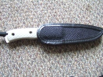 sheath by dwayne P 001.jpg