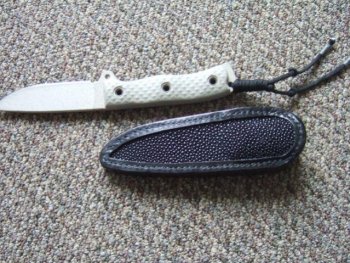sheath by dwayne P 003.jpg
