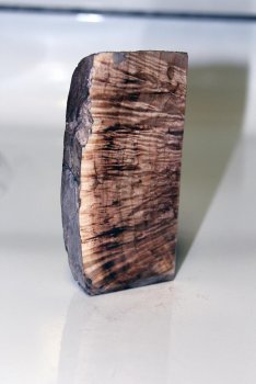 Stabilized burl 033.jpg