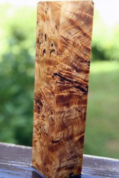 Burl ) 009.jpg