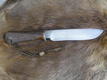 Bison Skinner 001.jpg