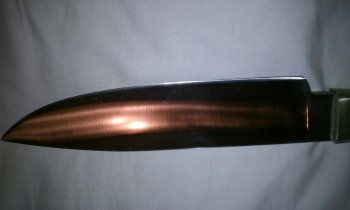 IMAG0220.jpg