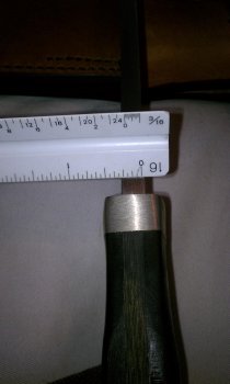 IMAG0222.jpg