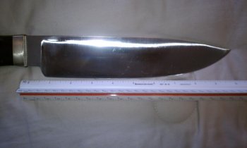 IMAG0224.jpg