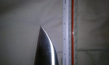IMAG0225.jpg