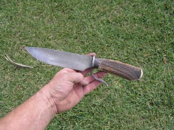 Rattail 006.jpg