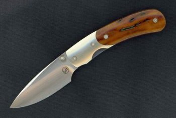 Resize of William Henry Kestrel Amber Bone.jpg