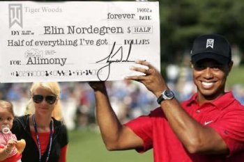Tiger-s-Big-Check_photo_medium.jpg