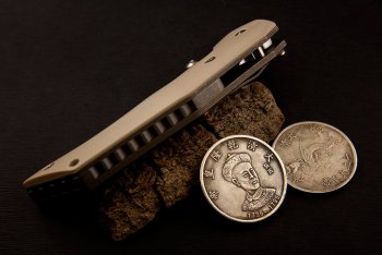 IMG_1564.jpg
