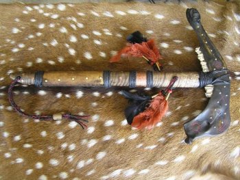 Red And Black Hawk 002.jpg
