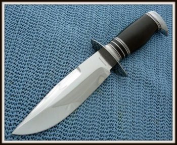 Vest Bowie aa (600 x 492).jpg