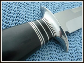 Vest Bowie bb (600 x 456).jpg