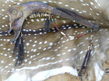 Cow Jaw 030.jpg