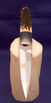 dagger-stag-3.jpg