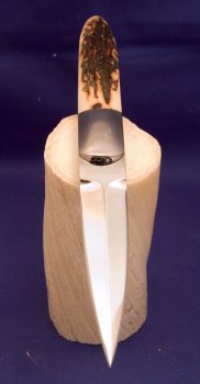 dagger-stag-4.jpg