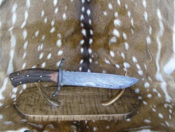 Axis Bowie 009.jpg