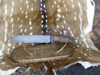 Axis Bowie 011.jpg