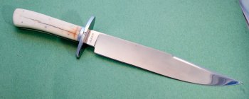 walrus-bowie-1.jpg