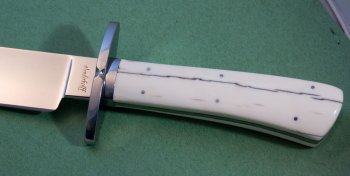 walrus-bowie-3.jpg