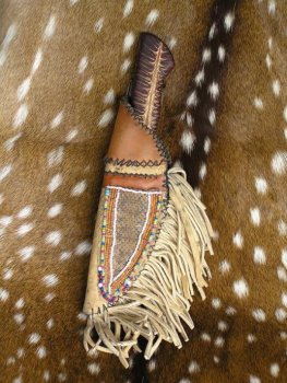 Seminole Wind 010.jpg