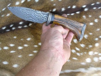 Shawn's Knife 024.jpg