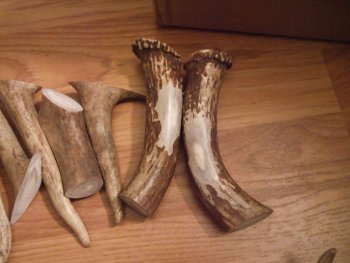 Elk horn 003.jpg