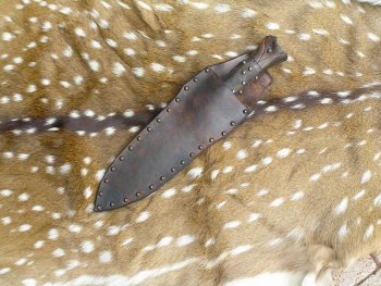 Raspy Elk 008.jpg