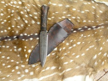 Raspy Elk 010.jpg