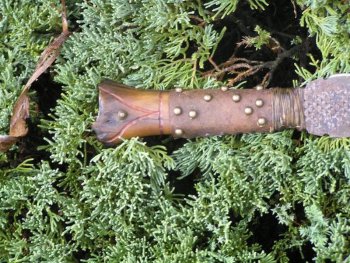 Raspy Elk 005.jpg