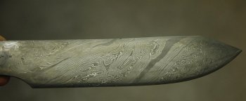 DSC_0015.jpg