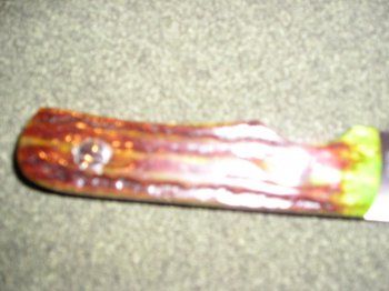 Picture 070.jpg