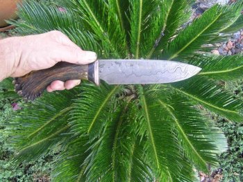 Damascus and Elk Burr 008.jpg