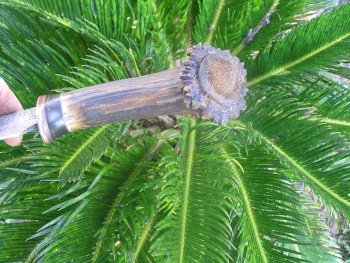 Damascus and Elk Burr 009.jpg