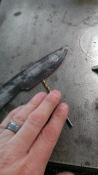 IMAG0402.jpg