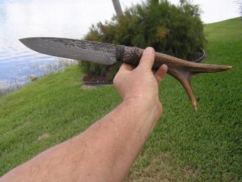 Ancient Elk 043.jpg
